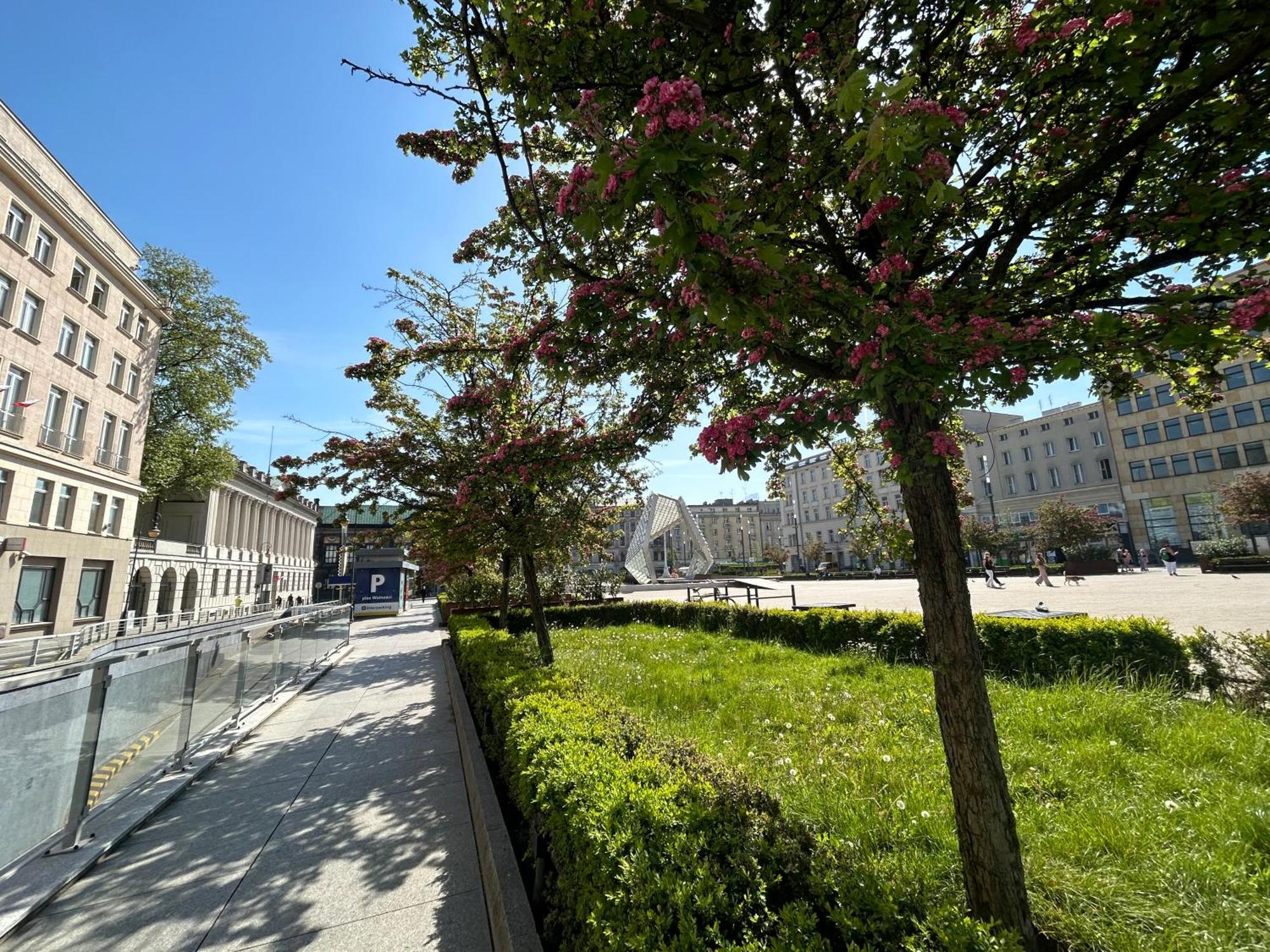 Apartamenty Pl. Wolnosci 6 Poznan Exterior foto